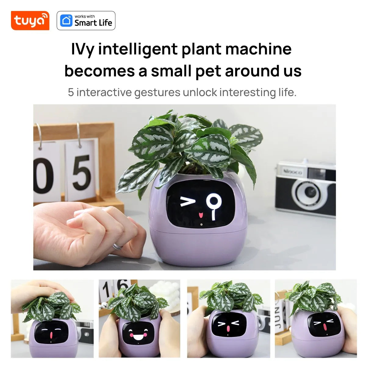 IvyBot AI Smart Planter