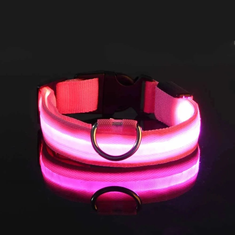 Glow In The Dark Dog Leash Dogs Luminous Fluorescent Pet Dog Collar beunik