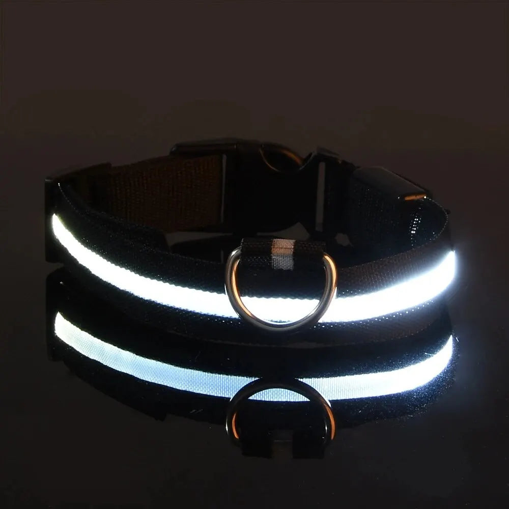 Glow In The Dark Dog Leash Dogs Luminous Fluorescent Pet Dog Collar beunik