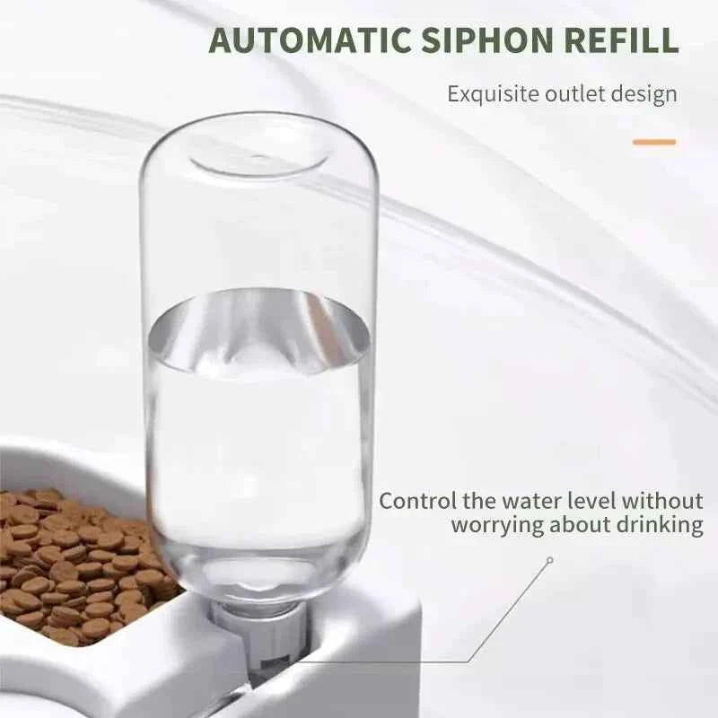 Automatic Drinking Pet Bowl Dual Basin