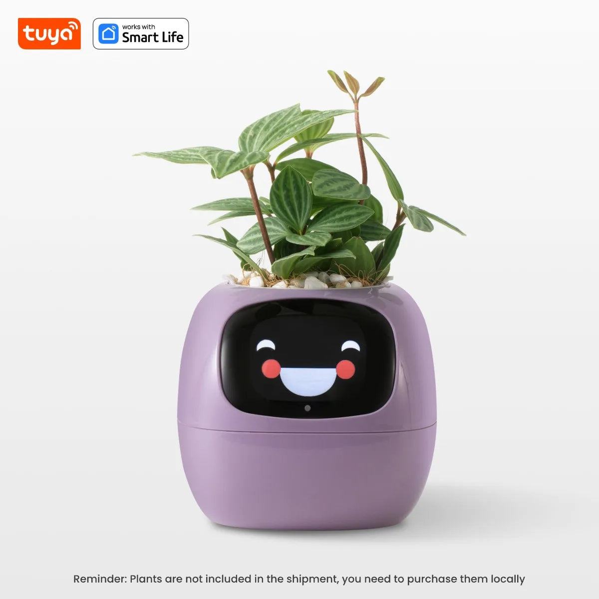 IvyBot AI Smart Planter