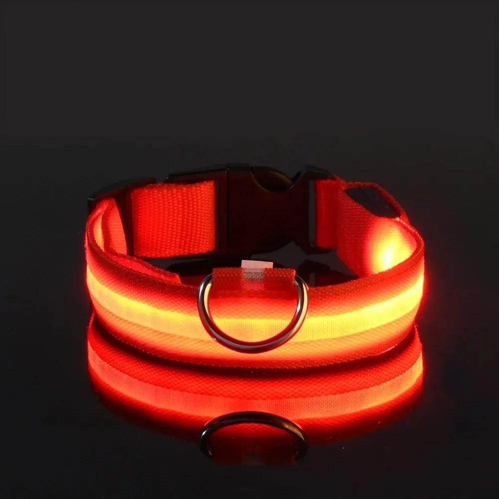 Glow In The Dark Dog Leash Dogs Luminous Fluorescent Pet Dog Collar beunik
