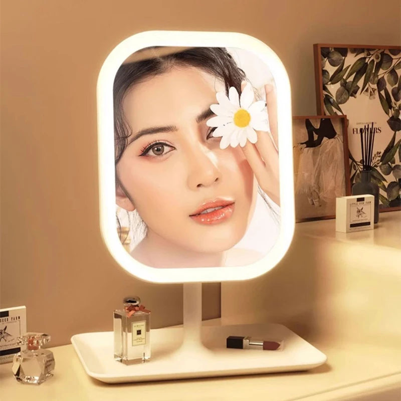 Niche Modern Desktop Vanity Mirror 3 Color Light LED Makeup Mirror beunik