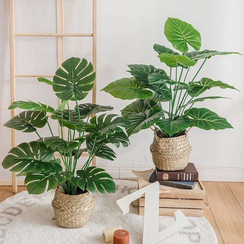 Artificial Turtle Back Leaf - beunik