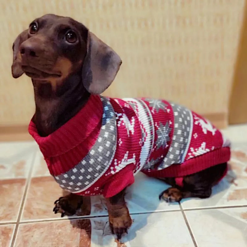 Winter Warm Dog Sweater for Small Dogs