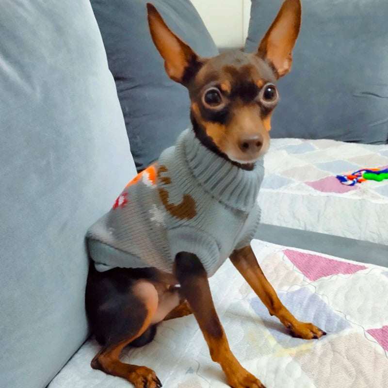 Winter Warm Dog Sweater for Small Dogs