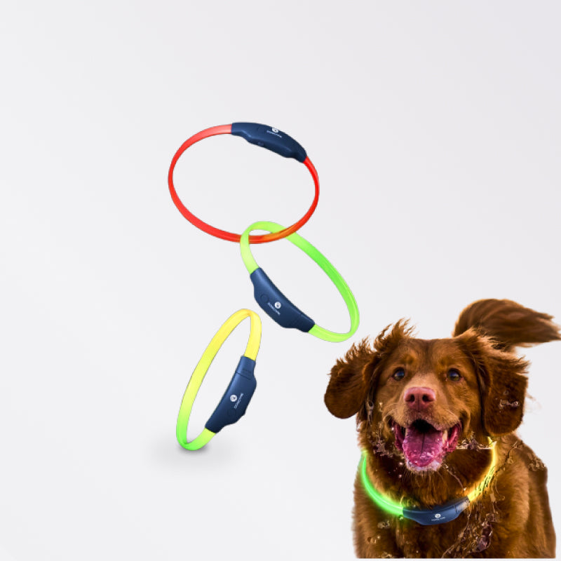 LED Dog Collar Colorful Luminous Collar 300m Visible - beunik