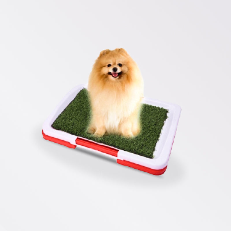 Pet Dog Potty Toilet Urinary Grass Mat - beunik