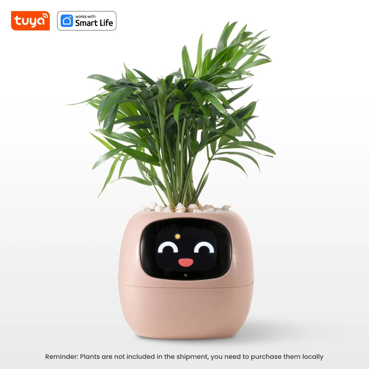 IvyBot AI Smart Planter
