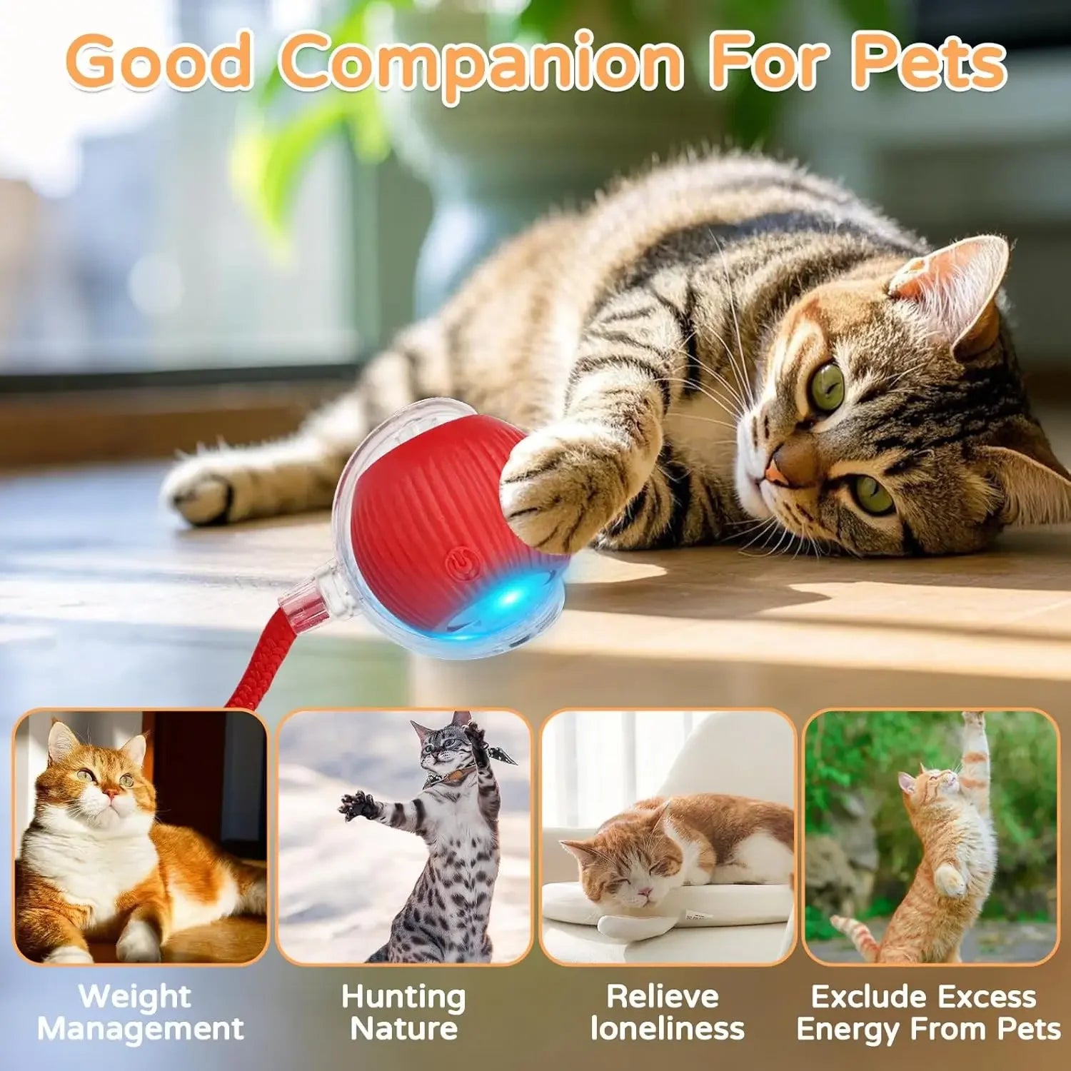 Cat Interactive Ball Toy Automatic Rolling Ball Faux Tail Rechargeable Smart Pet Electric Toy beunik