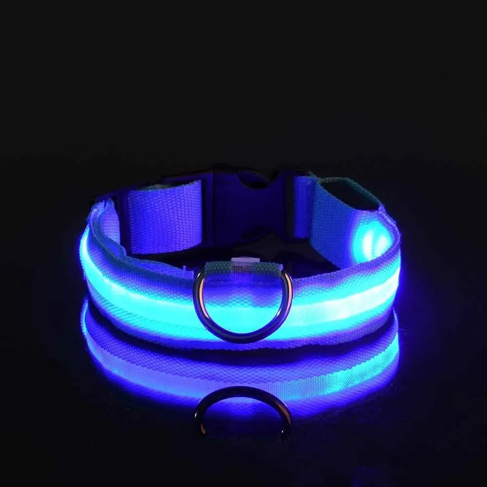 Glow In The Dark Dog Leash Dogs Luminous Fluorescent Pet Dog Collar beunik