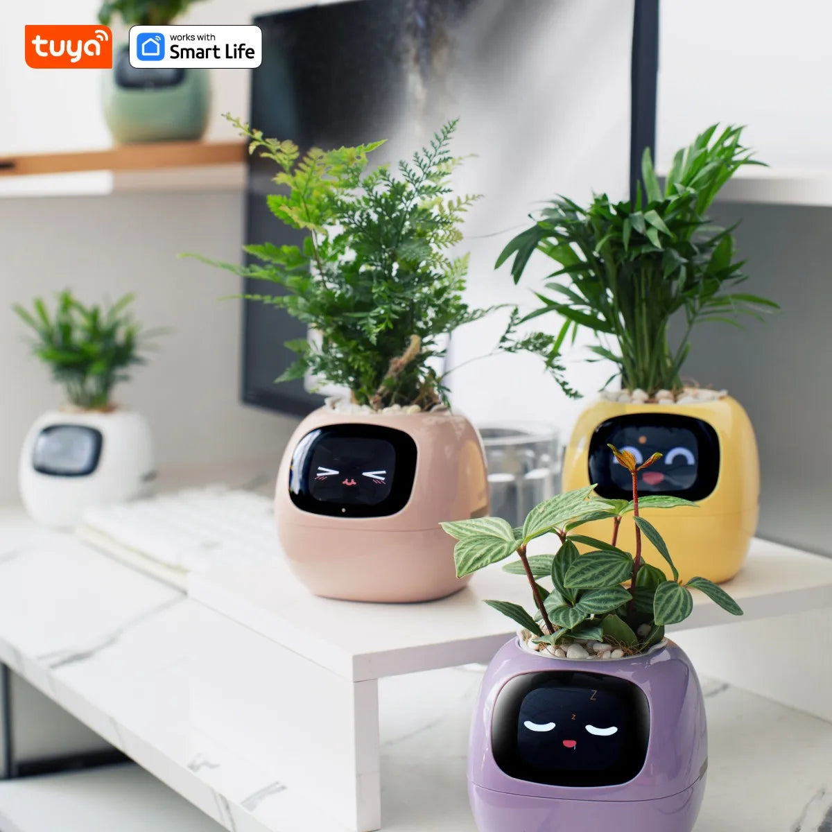 IvyBot AI Smart Planter
