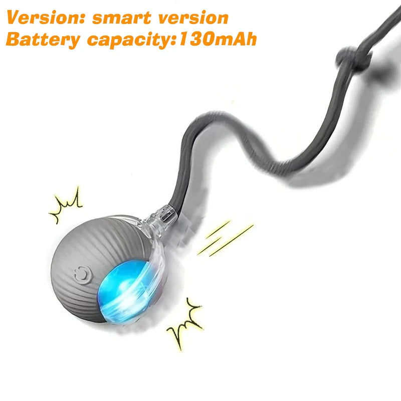 NEW Smart Rechargeable Interactive Dog Toy beunik