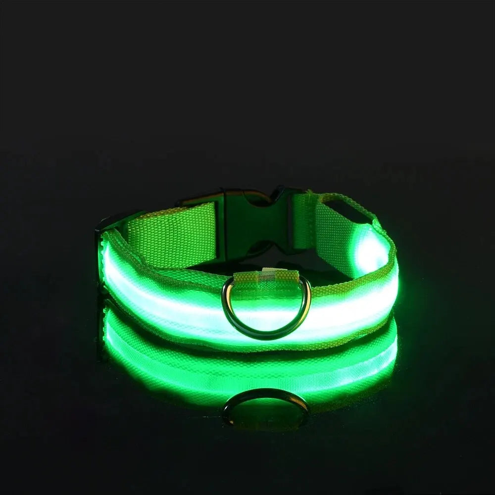 Glow In The Dark Dog Leash Dogs Luminous Fluorescent Pet Dog Collar beunik