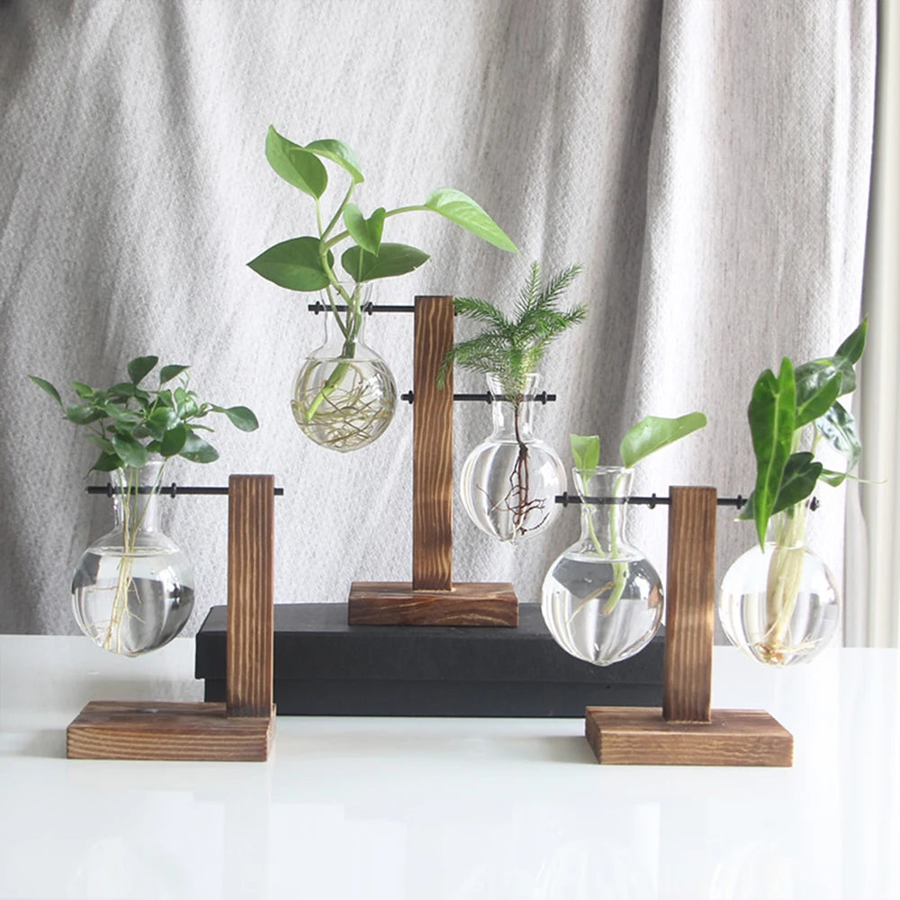 Hydroponic Plant Container Home Creative Glass Desktop Planter