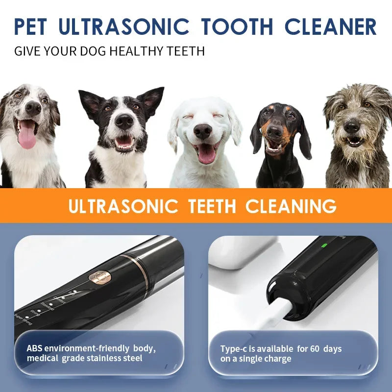 Pet Electric Ultrasonic Cleaner Oral Dental Care beunik