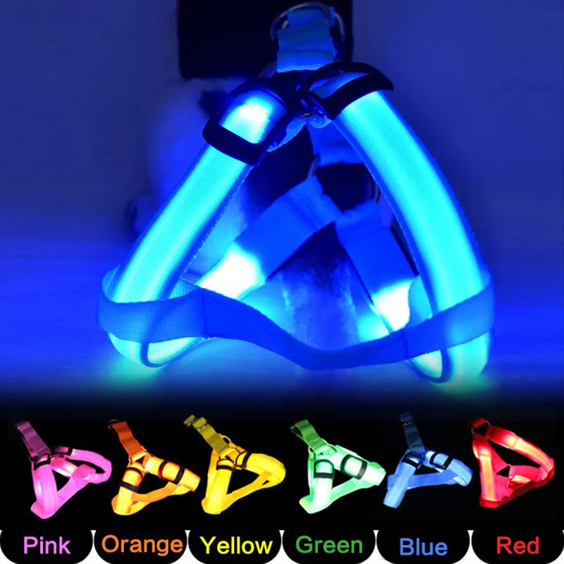 Adjustable LED Dog Harness No Pull Safety beunik