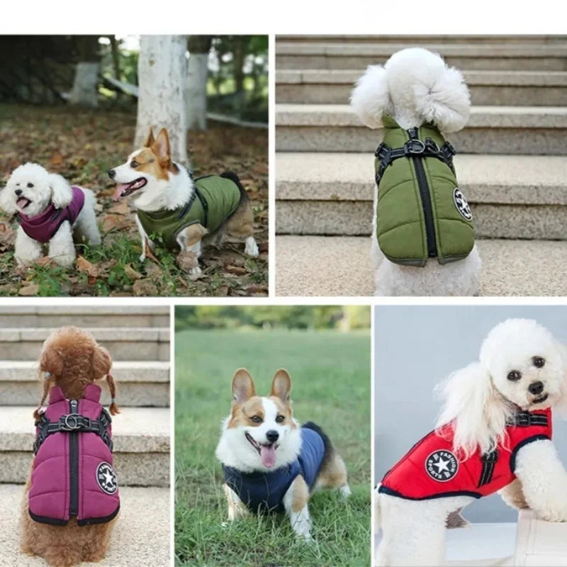 Winter Warm Dog Clothes Dog Jacket With Harness beunik