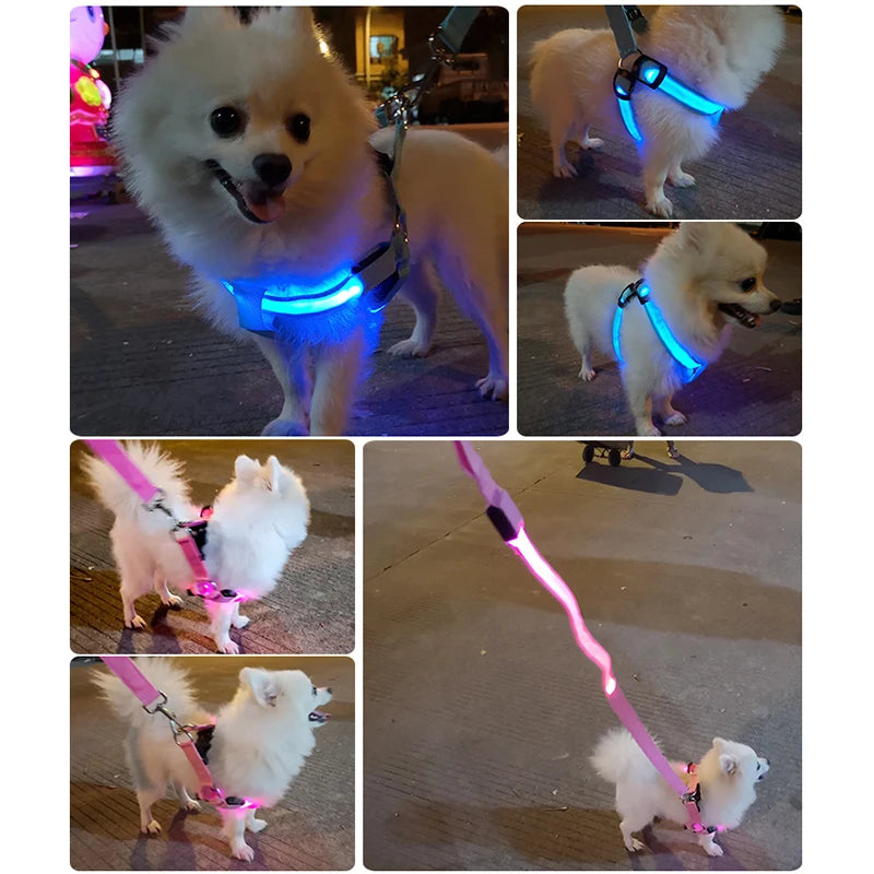 Adjustable LED Dog Harness No Pull Safety beunik