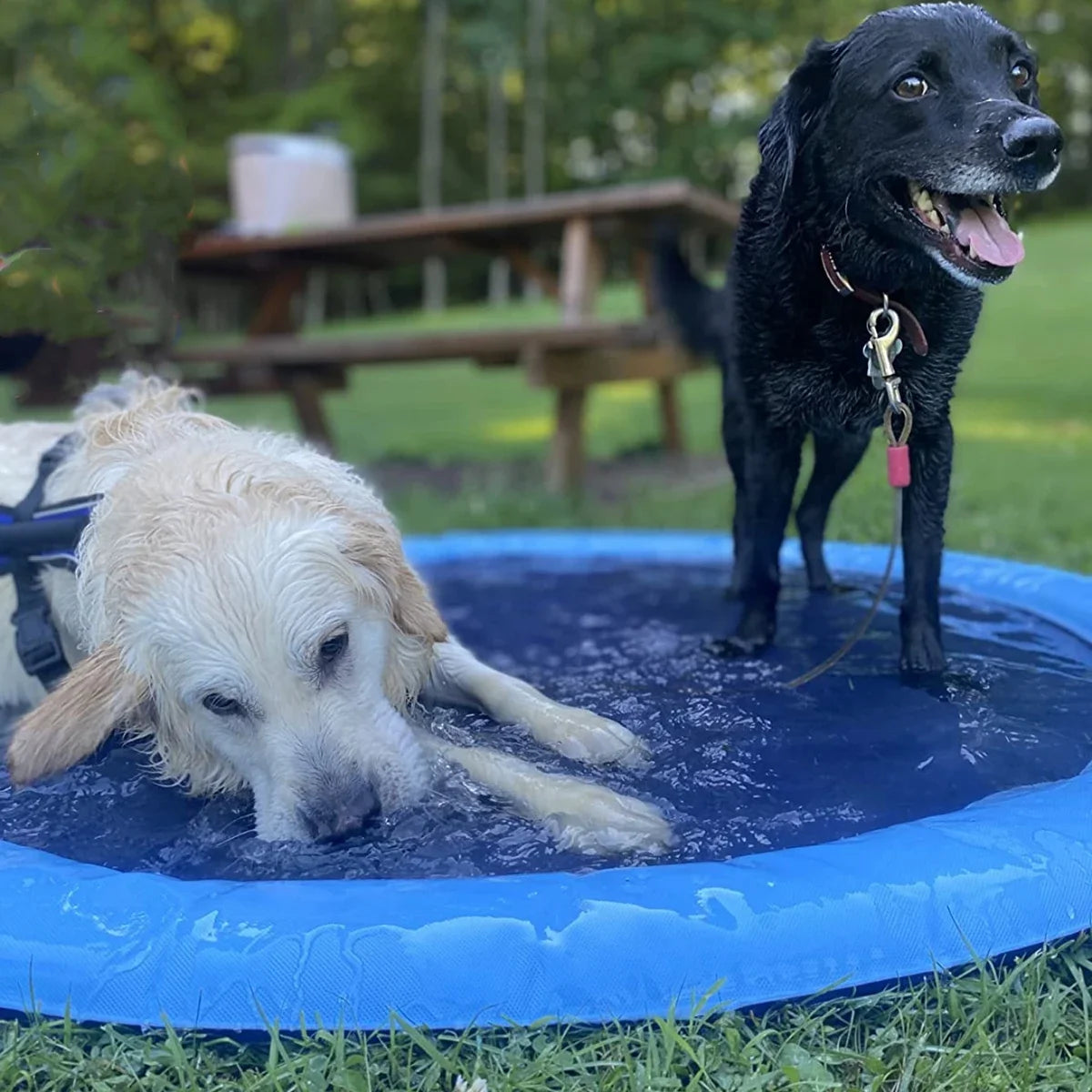 Summer Pet Inflatable Swimming Pool Water Sprinkler Pad Play Cooling Mat beunik