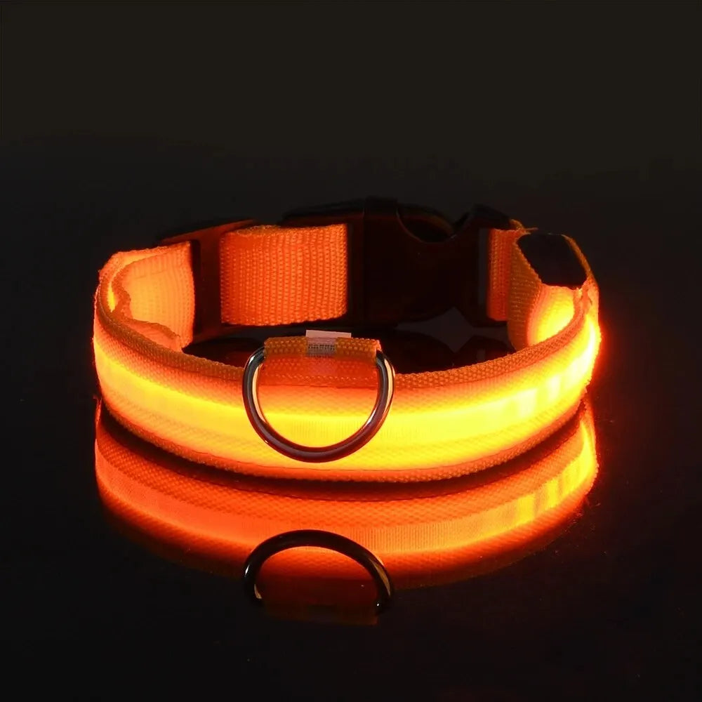 Glow In The Dark Dog Leash Dogs Luminous Fluorescent Pet Dog Collar beunik