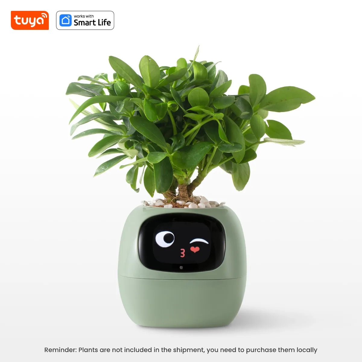 IvyBot AI Smart Planter