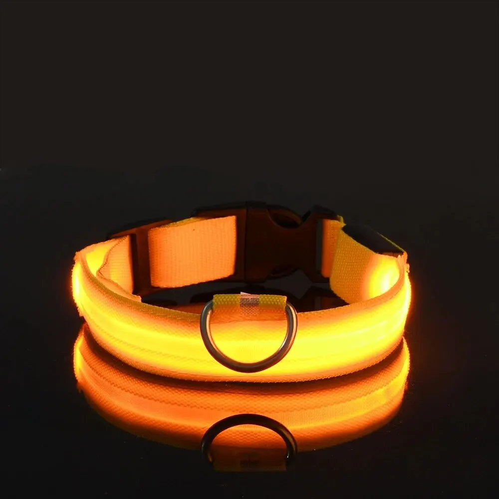 Glow In The Dark Dog Leash Dogs Luminous Fluorescent Pet Dog Collar beunik