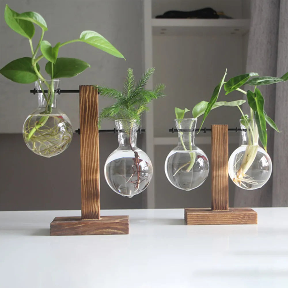 Hydroponic Plant Container Home Creative Glass Desktop Planter