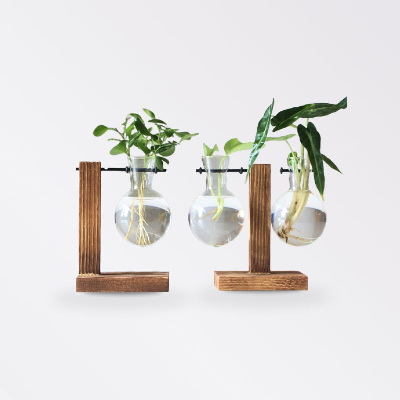 Terrarium Plant Vases - beunik