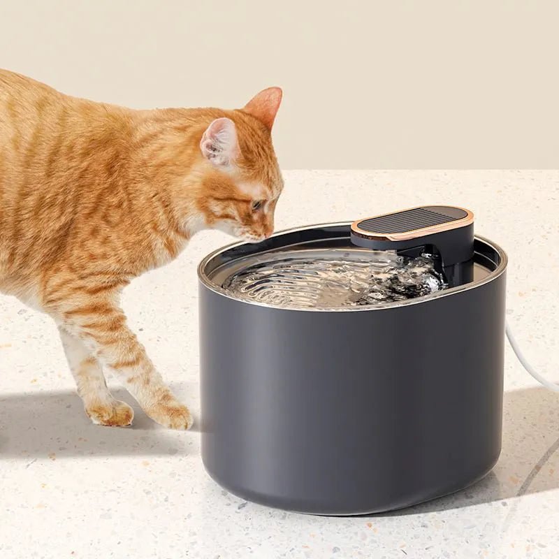 3L Automatic Pet Water Fountain Dispenser with LED Light - beunik