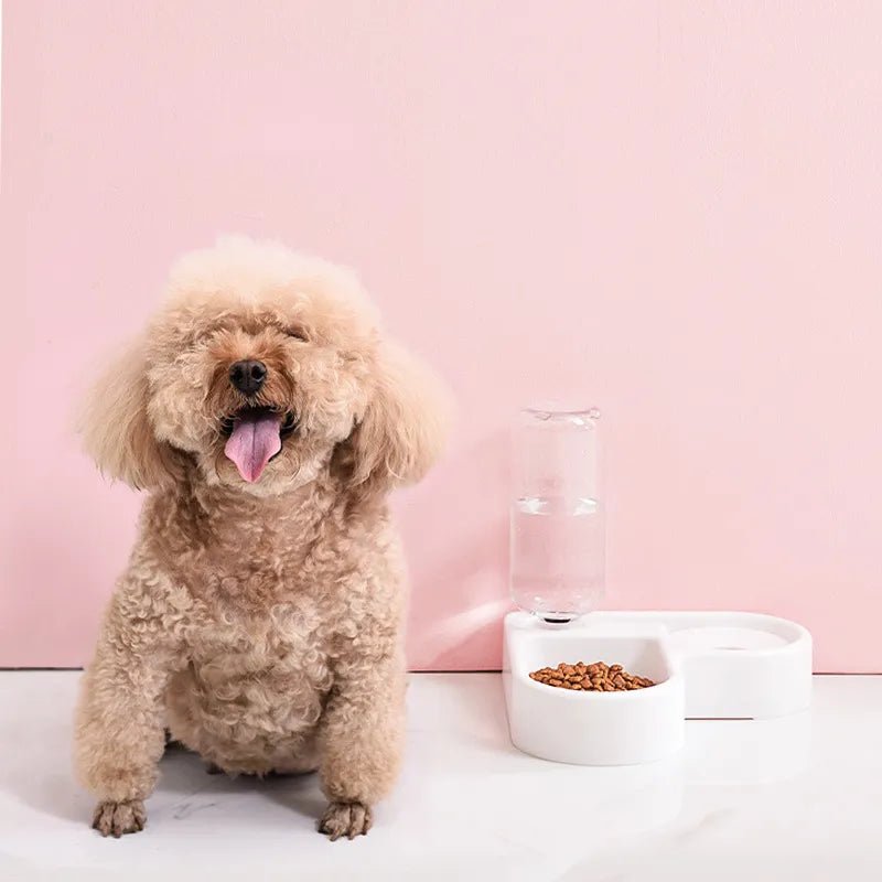 Corner Dog Bowl Automatic Water Dispenser - beunik