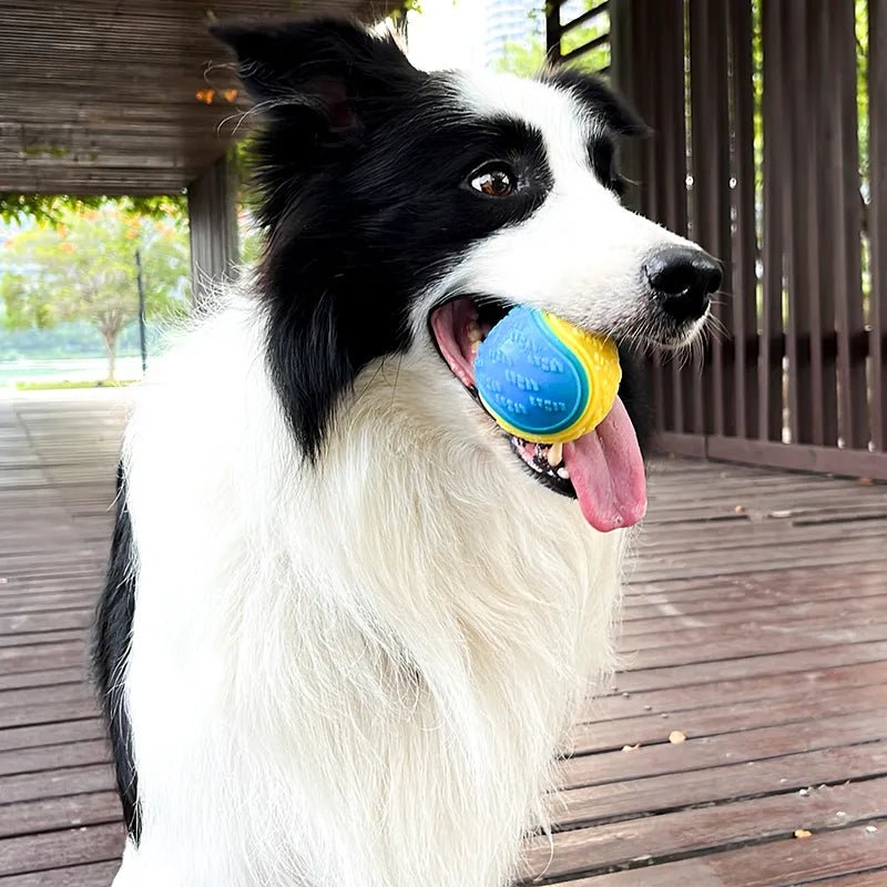 Dogs Interactive Squeaky Soft Ball Toy - beunik