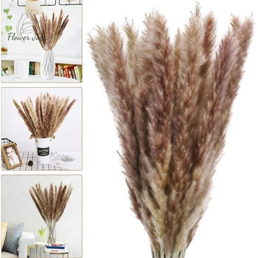 Fluffy Pampas Dried Flowers Bouquet Decorations - beunik