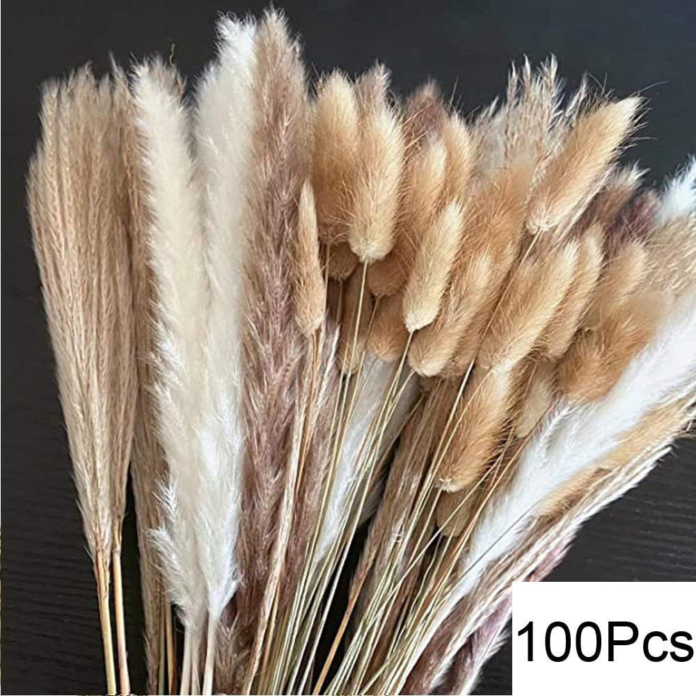 Fluffy Pampas Dried Flowers Bouquet Decorations - beunik