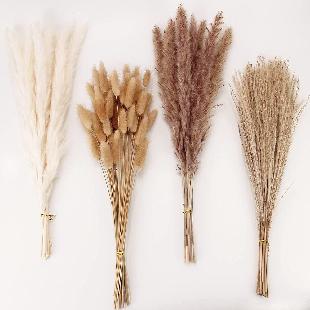 Fluffy Pampas Dried Flowers Bouquet Decorations - beunik