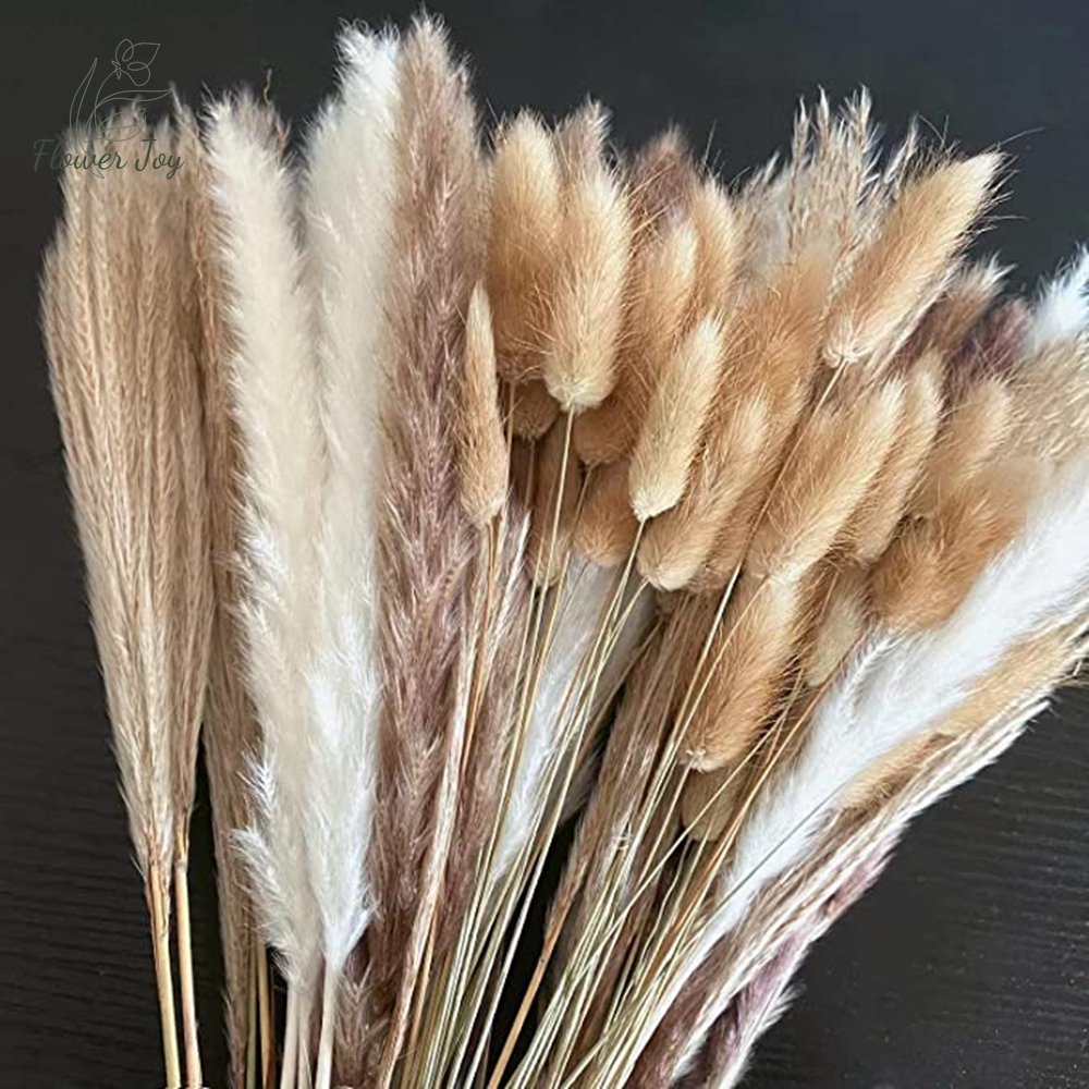 Fluffy Pampas Dried Flowers Bouquet Decorations - beunik