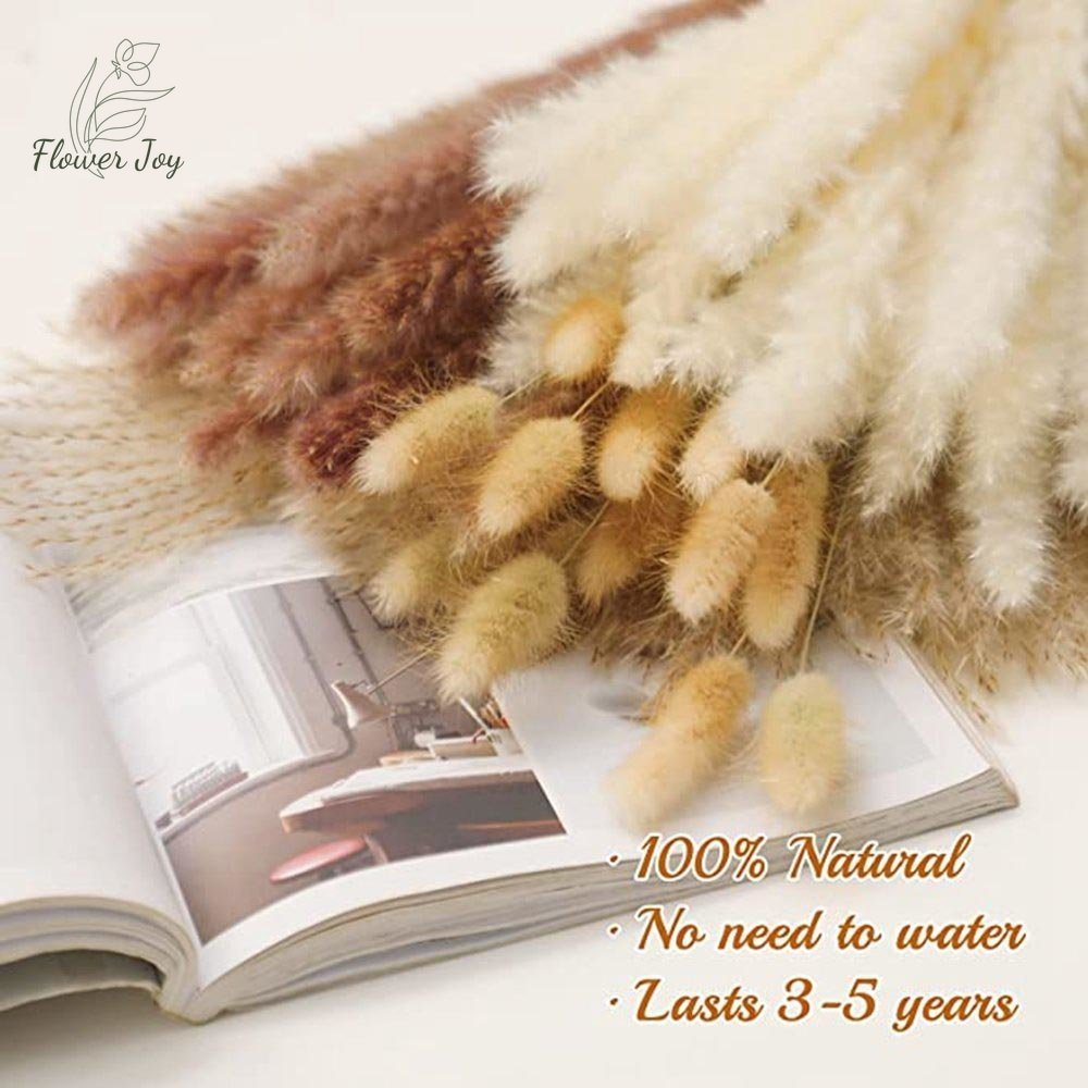 Fluffy Pampas Dried Flowers Bouquet Decorations - beunik