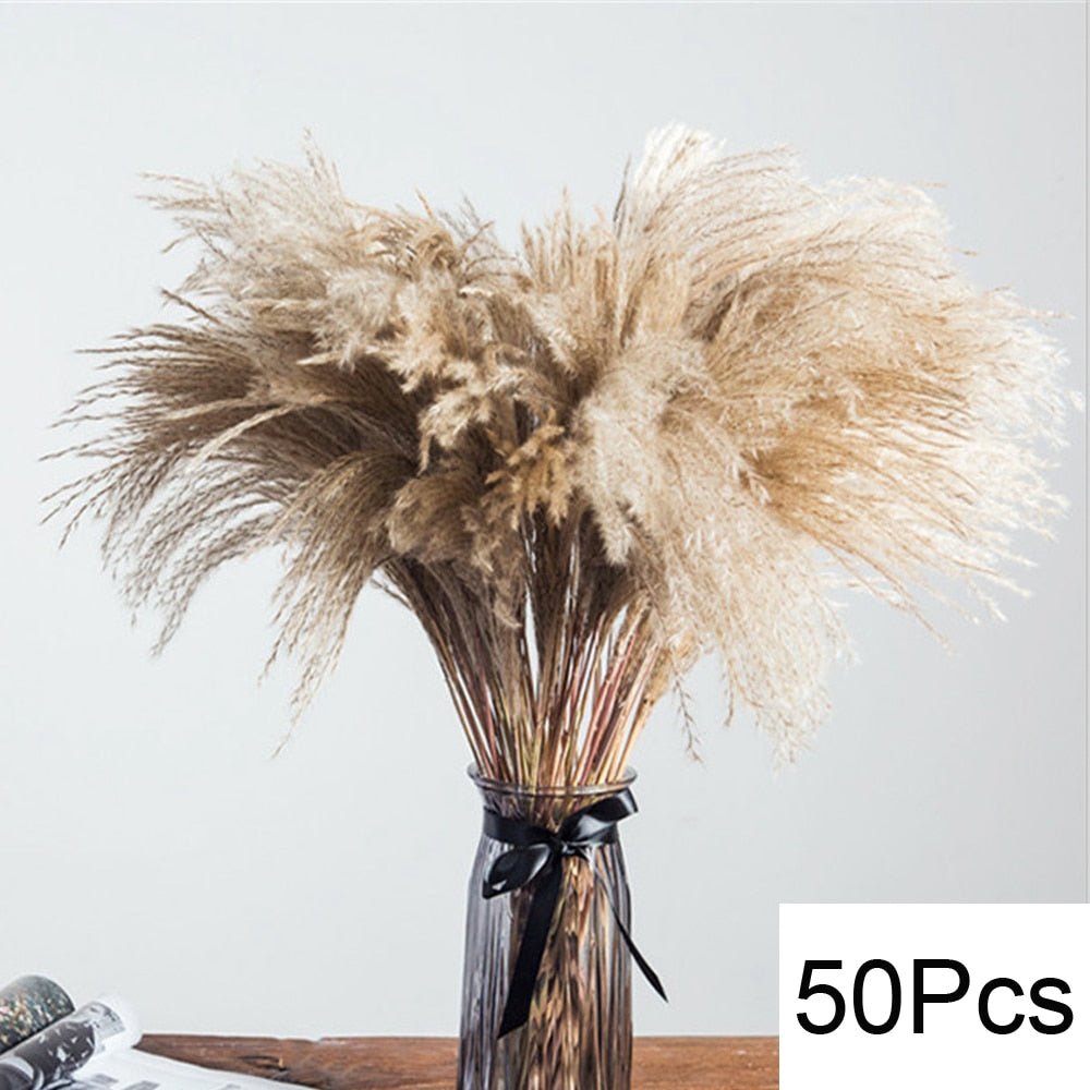 Fluffy Pampas Dried Flowers Bouquet Decorations - beunik