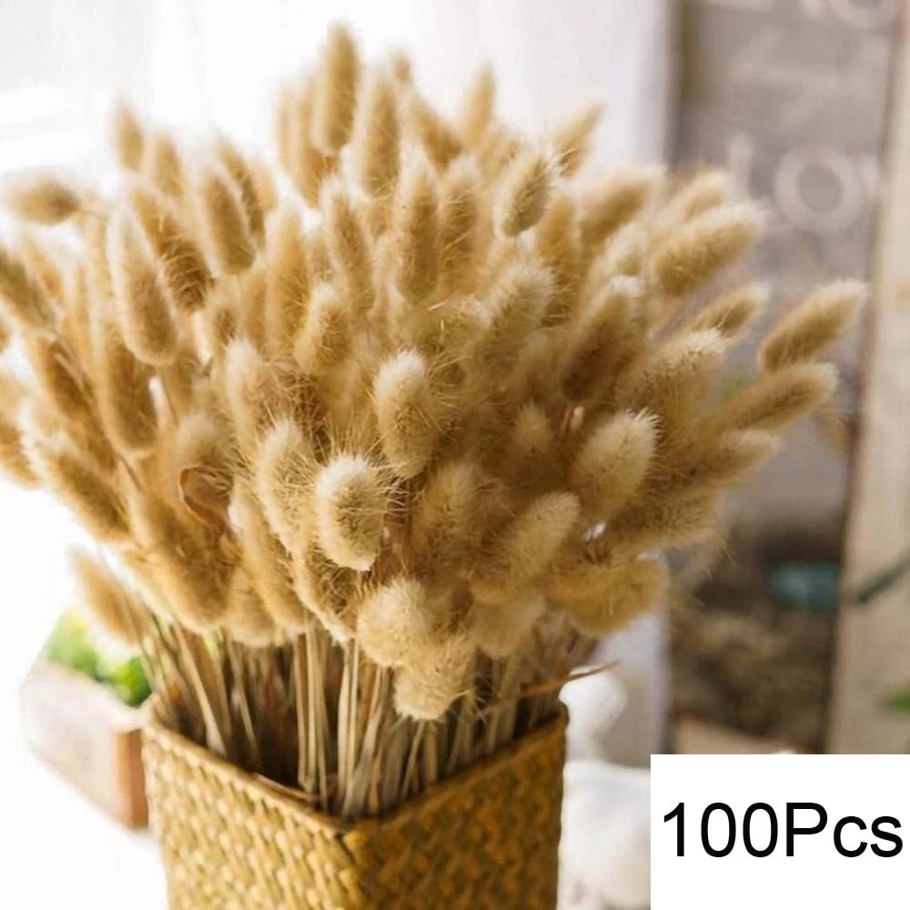 Fluffy Pampas Dried Flowers Bouquet Decorations - beunik