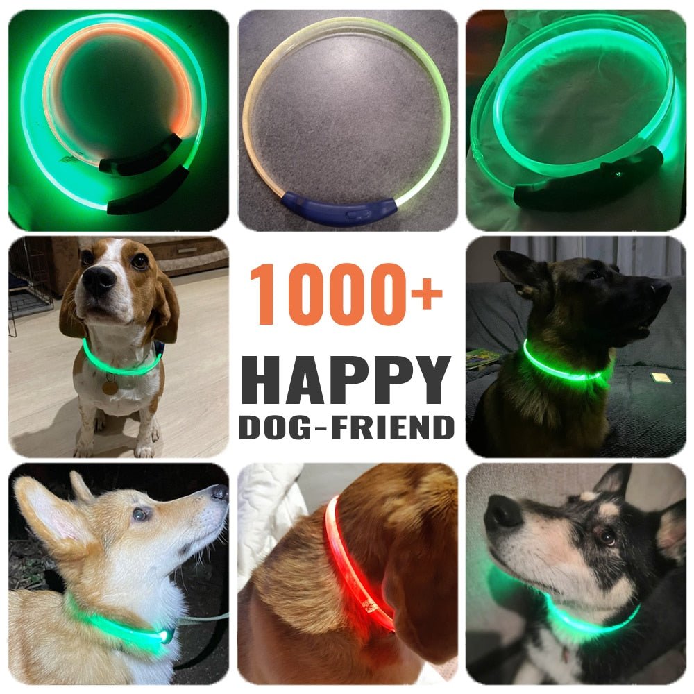 LED Dog Collar Colorful Luminous Collar 300m Visible - beunik
