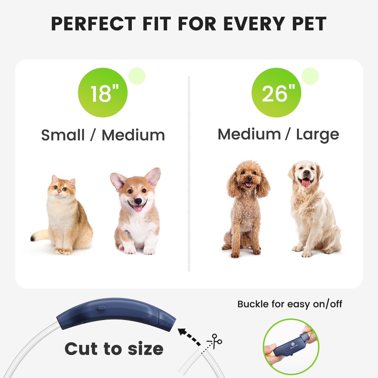 LED Dog Collar Colorful Luminous Collar 300m Visible - beunik
