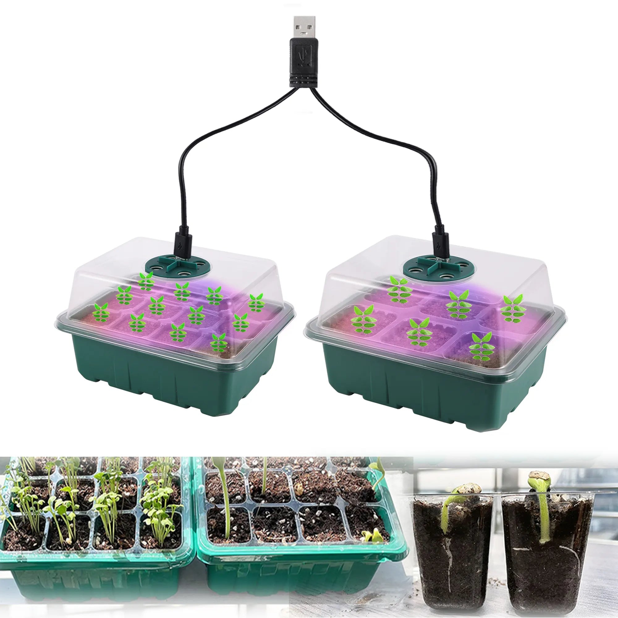 Seed Starter Tray Box With LED Grow Light Nursery Pot Seedling Germinator - beunik