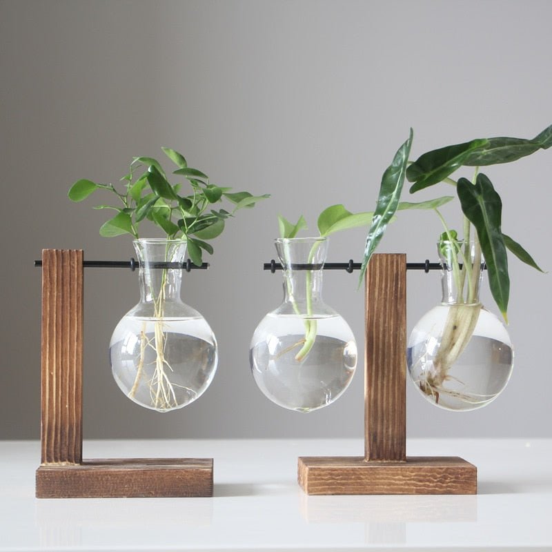 Terrarium Plant Vases - beunik