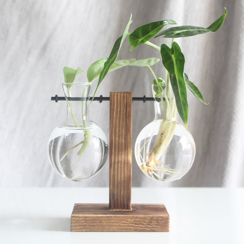 Terrarium Plant Vases - beunik