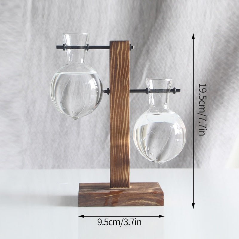 Terrarium Plant Vases - beunik