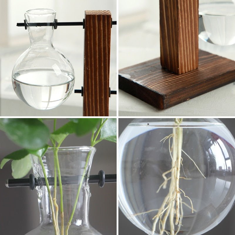 Terrarium Plant Vases - beunik