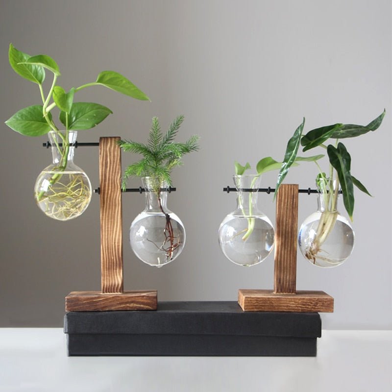 Terrarium Plant Vases - beunik