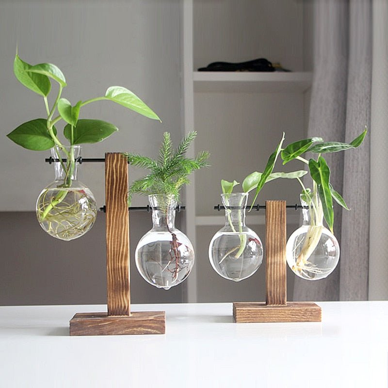 Terrarium Plant Vases - beunik