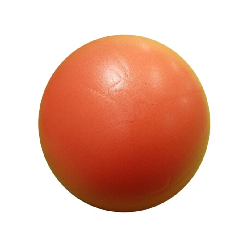 Yoga Ball Fitness Balls - beunik